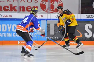 ERC Ingolstadt Legenden vs Sternstunden-Mannschaft, 23.02.2020